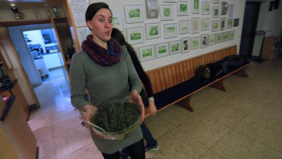 Sarah tischt Gröönkohl auf!