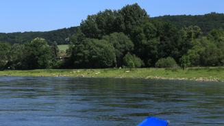 MRG-Barkenfahrt auf der Weser, Mai 2018