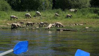 MRG-Barkenfahrt auf der Weser, Mai 2018