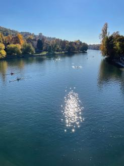 Regatta Silver Skiff in Turin, 2021