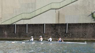 Regatta Heidelberg