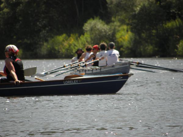 Auf dem Rhein lernen Interessierte das Rudern im Schnupperkurs der MRG