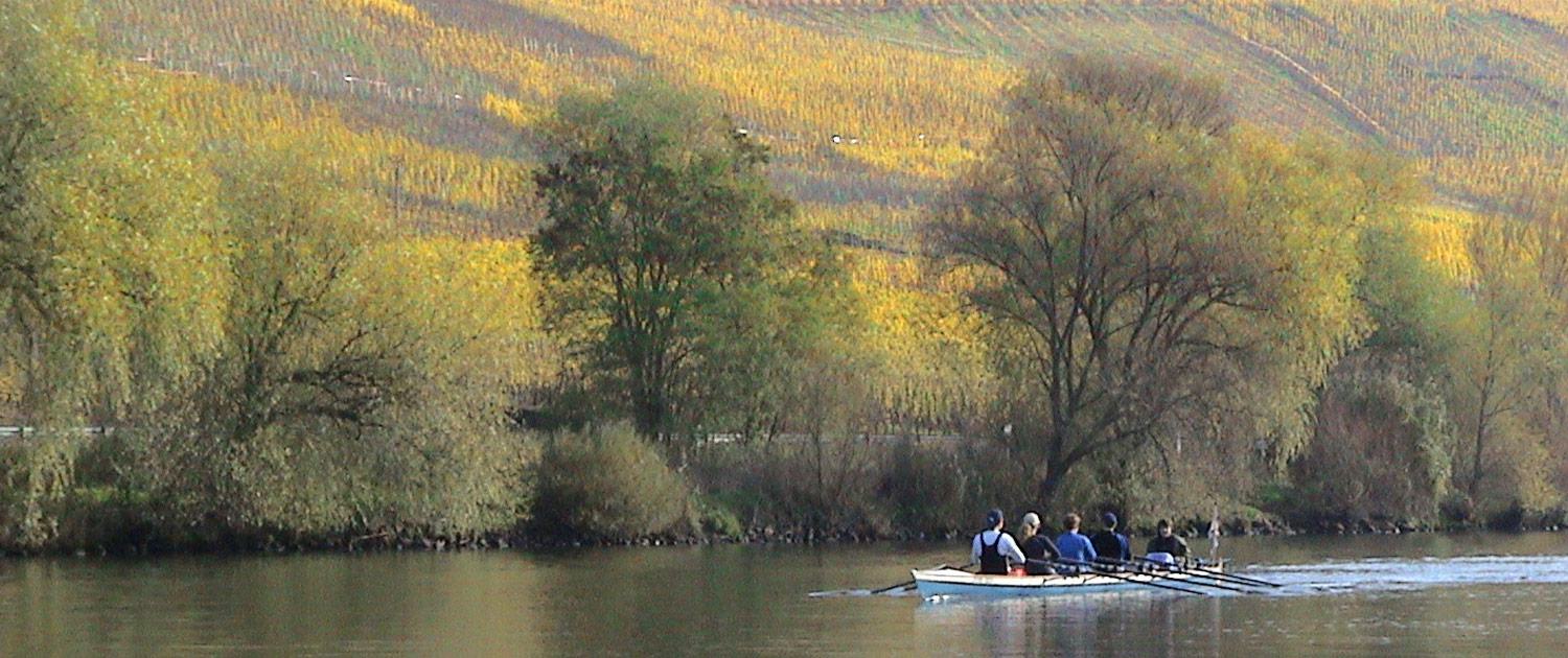 Ein Ruderboot der MRG auf der Mosel zwischen Weinbergen im November