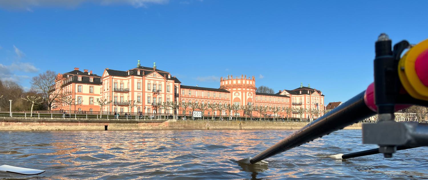 Rudern vor dem Biebricher Schloss